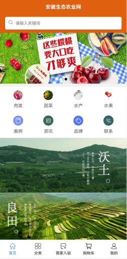 TVT体育安徽生态农业网数字云平台 专注新鲜果蔬 健康生活(图3)