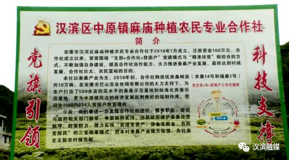 点赞！汉滨中原镇绿色经济打TVT体育牢乡村振兴基础！(图4)