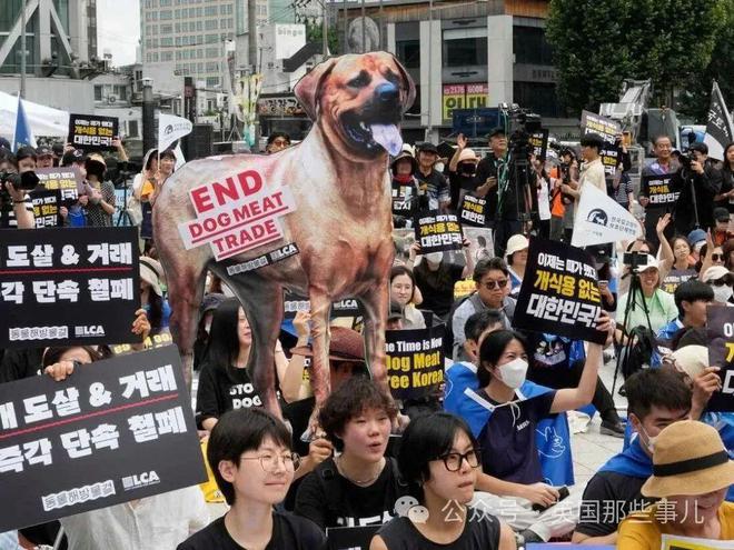 韩国禁止狗肉贩卖！结果反对者扬言要到门口放生200万只狗？！TVT体育(图5)