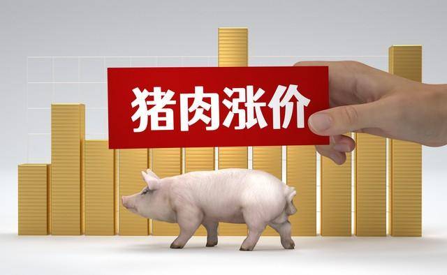 TVT体育猪价涨价飙升！中国养猪网全国一片飘红！(图1)
